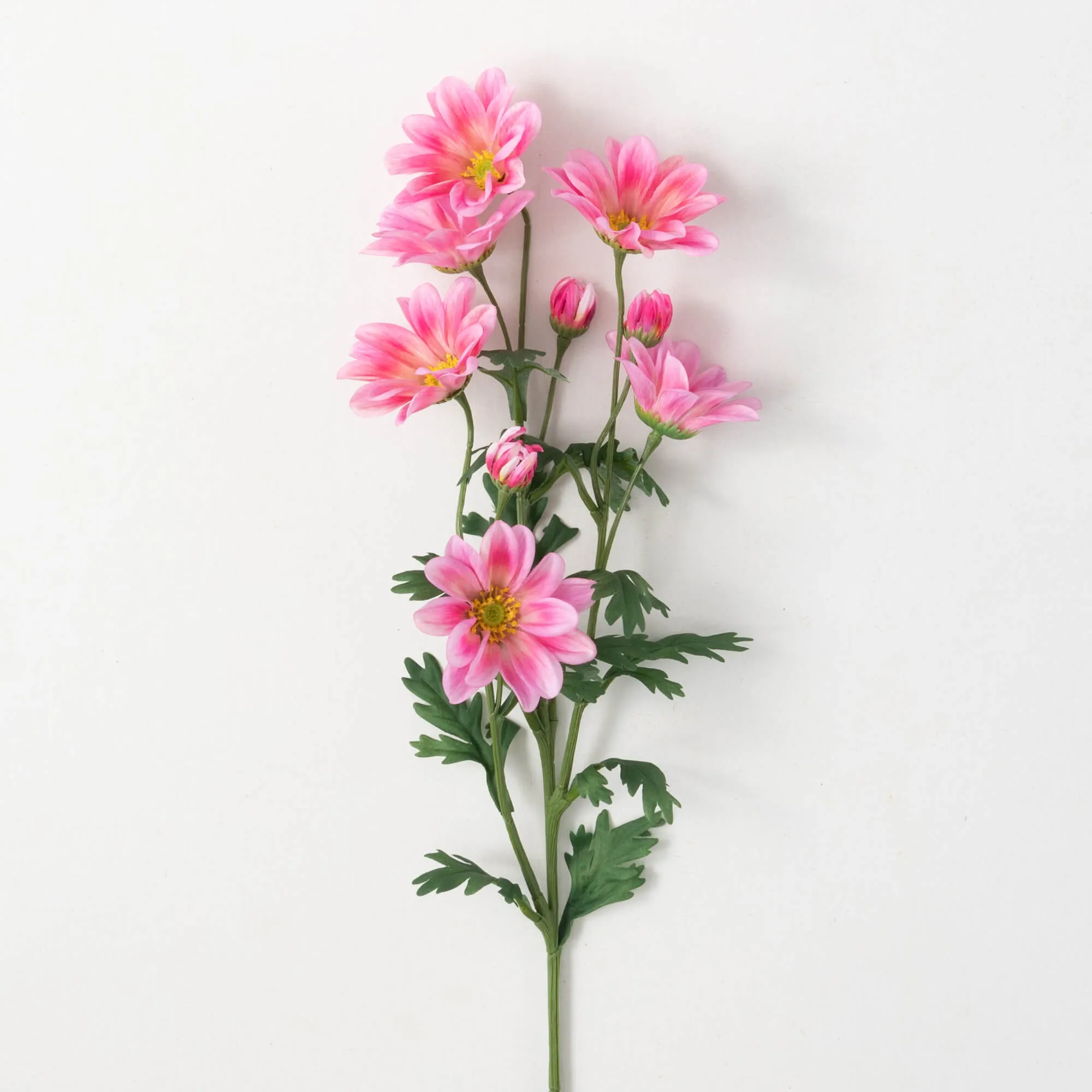 33.5"H Sullivans Blush Pink Gazania Stem, Pink