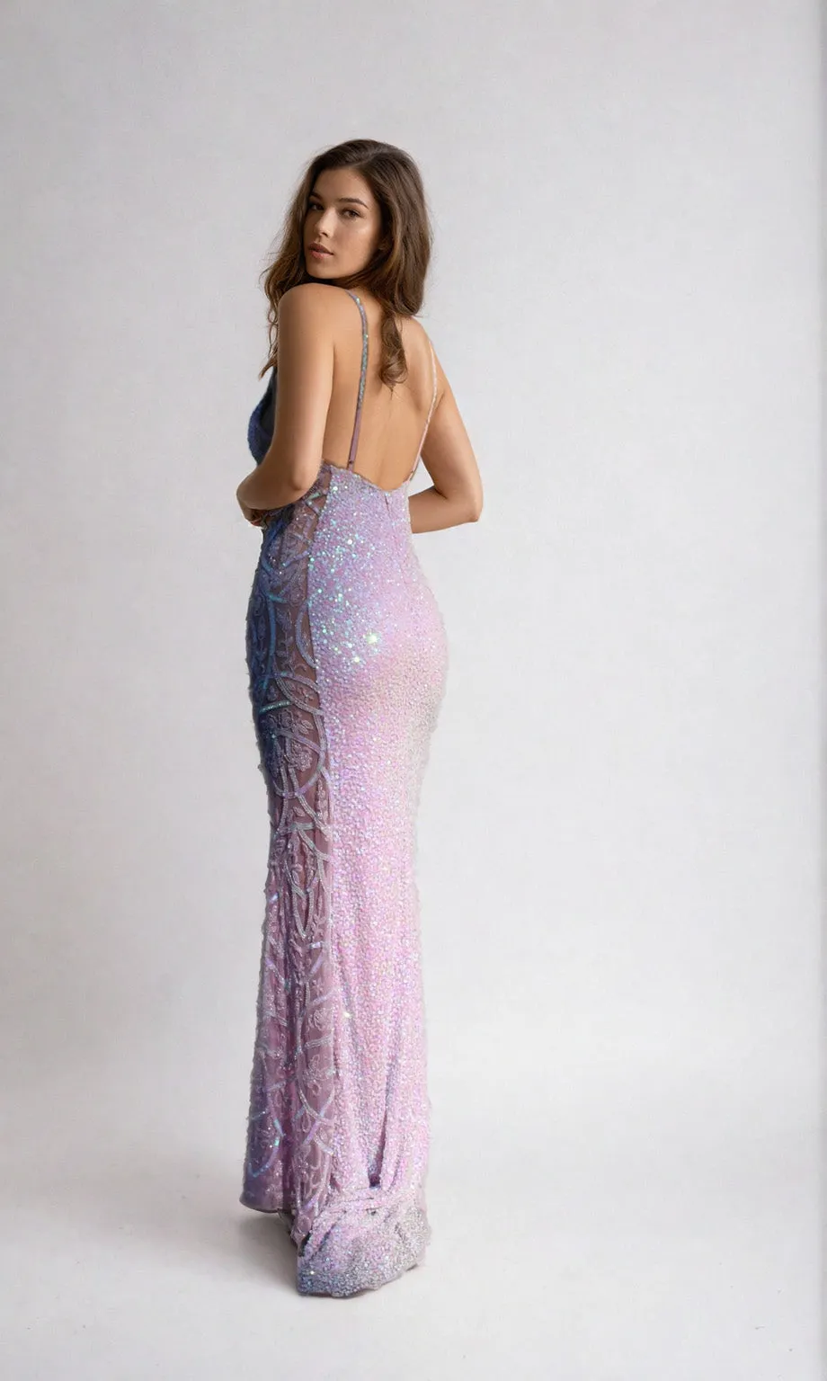 Aleta Long Formal Dress 1121