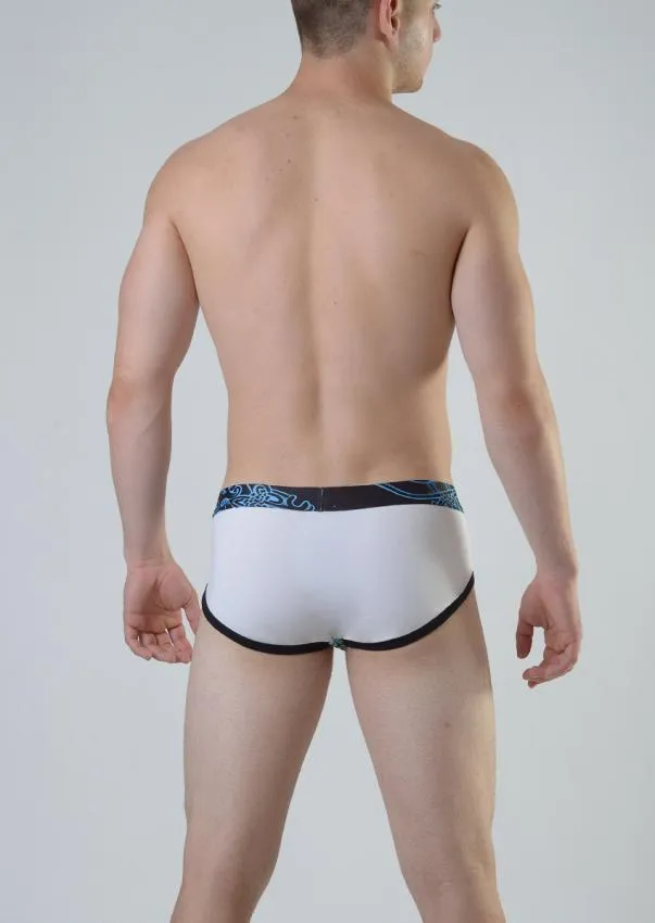 Men Briefs 1811s22