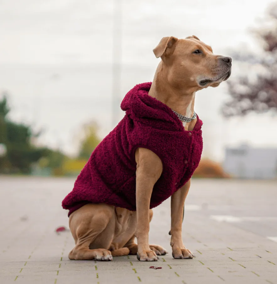 Teddy Sherpa Dog Jacket - Maroon [Size 4XL]